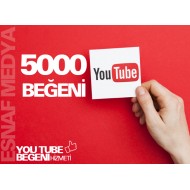 Youtube 5000 Beğeni
